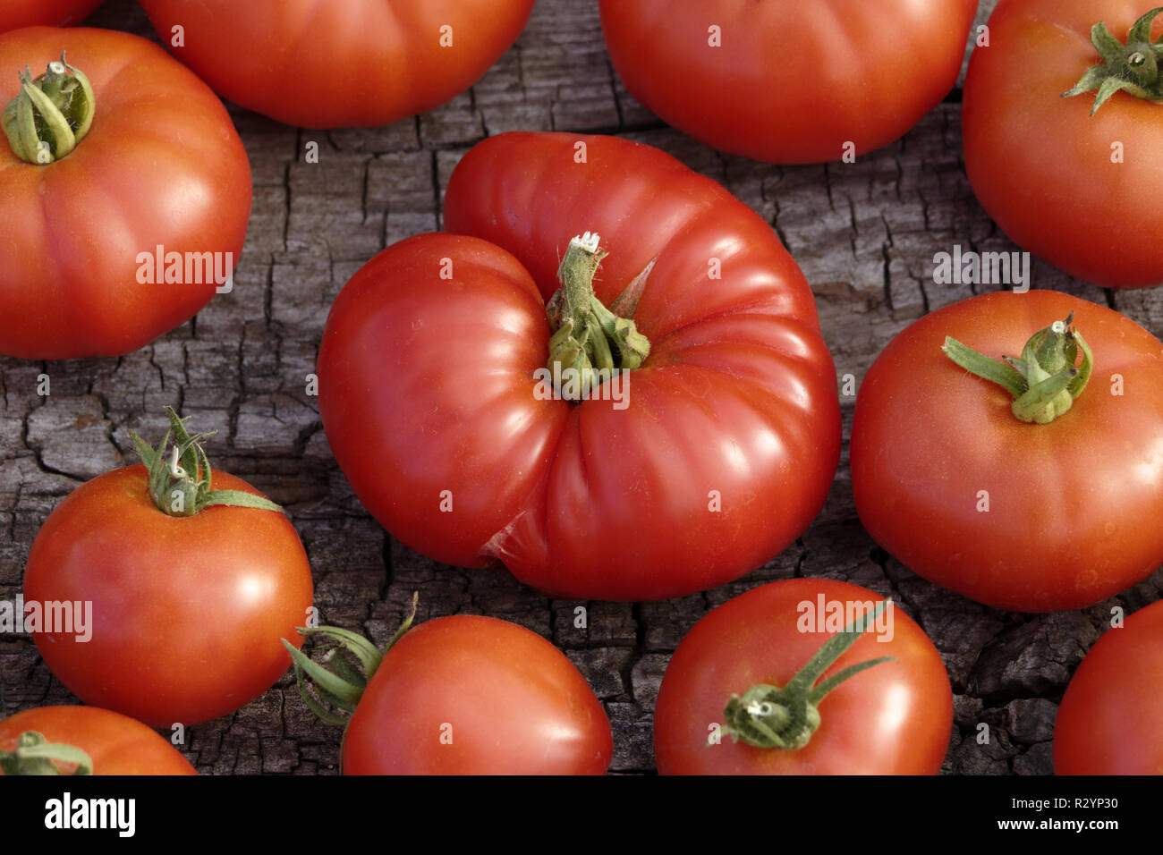 Pictorial Packet Marmande Vegetable Tomato Kings Seeds 