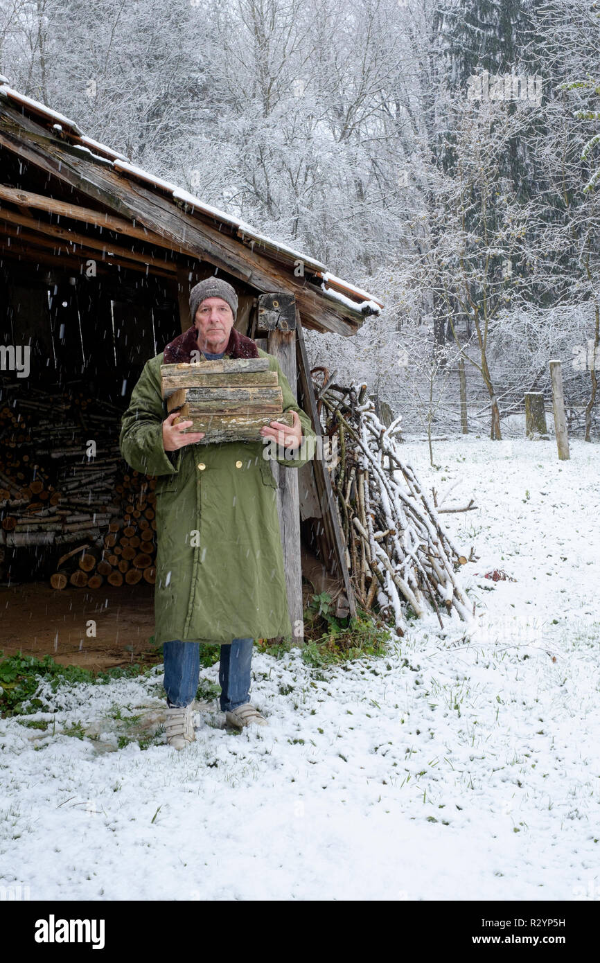 man carrying firewood through falling snow in garden to use as fuel in a wood burner zala county hungary Stock Photo