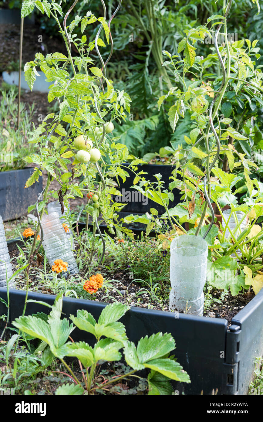 Square foot gardens Stock Photo - Alamy
