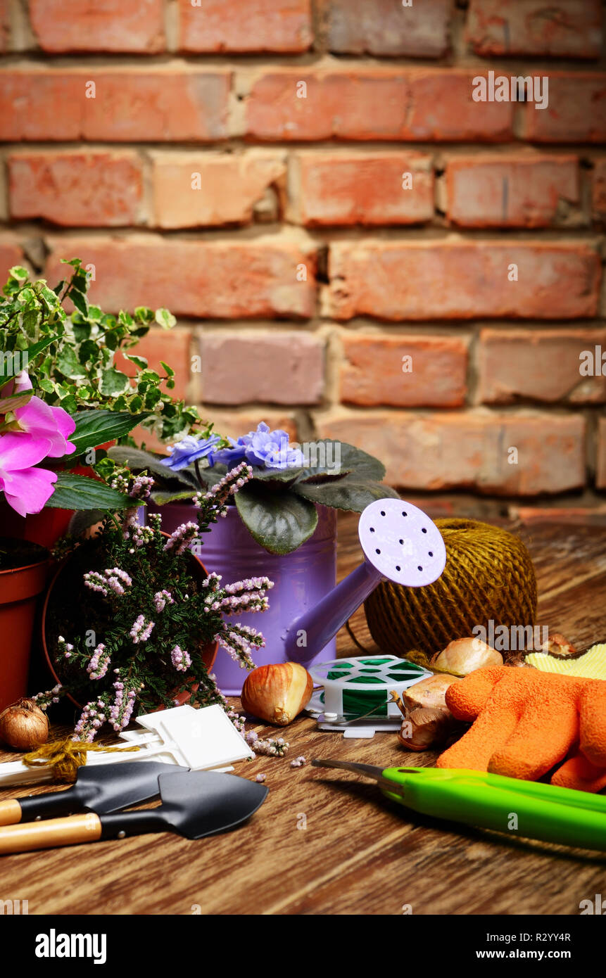 Gardening tools of shovel rake labels and watering can on wooden table ...