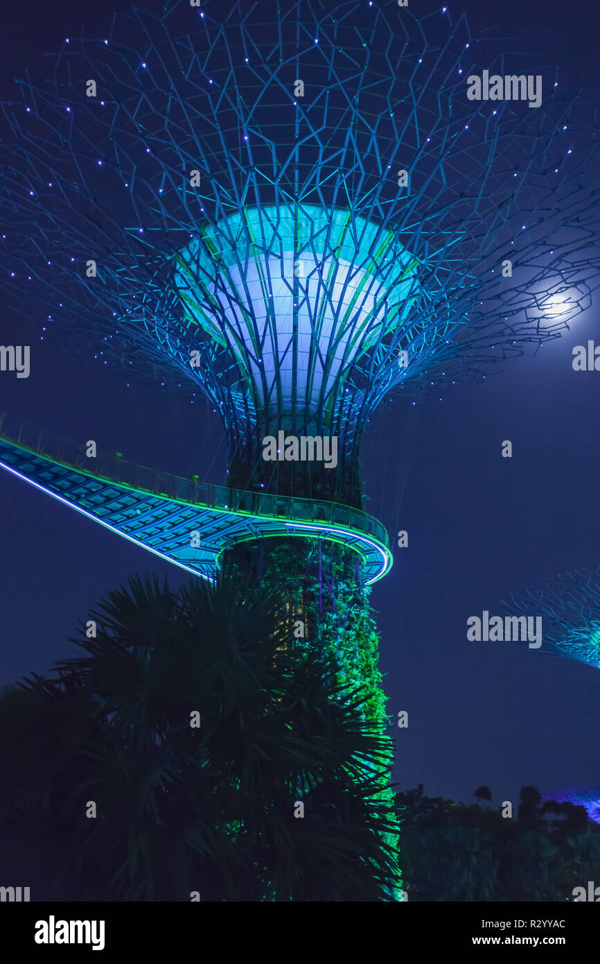 Super tree with the moon light in the garden of the bay park. Singapour Stock Photo