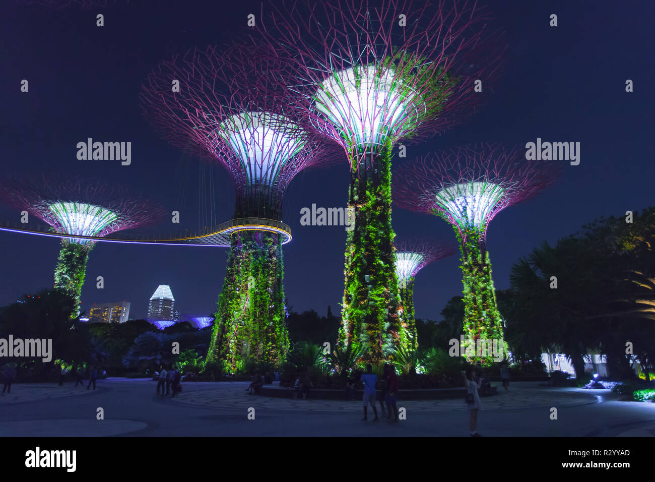 Super trees Garden of the bay park. Singapour Stock Photo