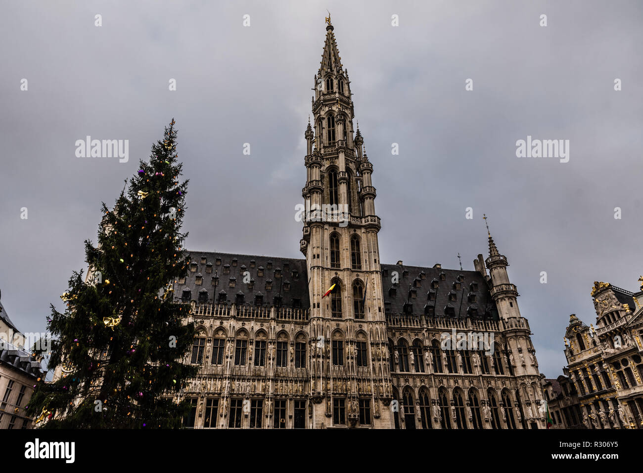 Christmas market with typical pine tree at the main market square Grand place Stock Photo