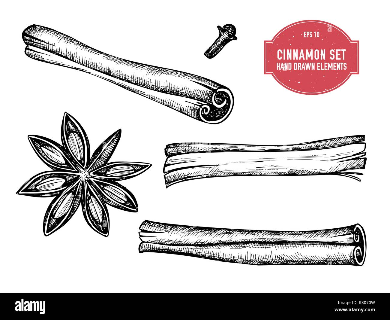 Vector collection of hand drawn black and white cinnamon Stock Vector ...