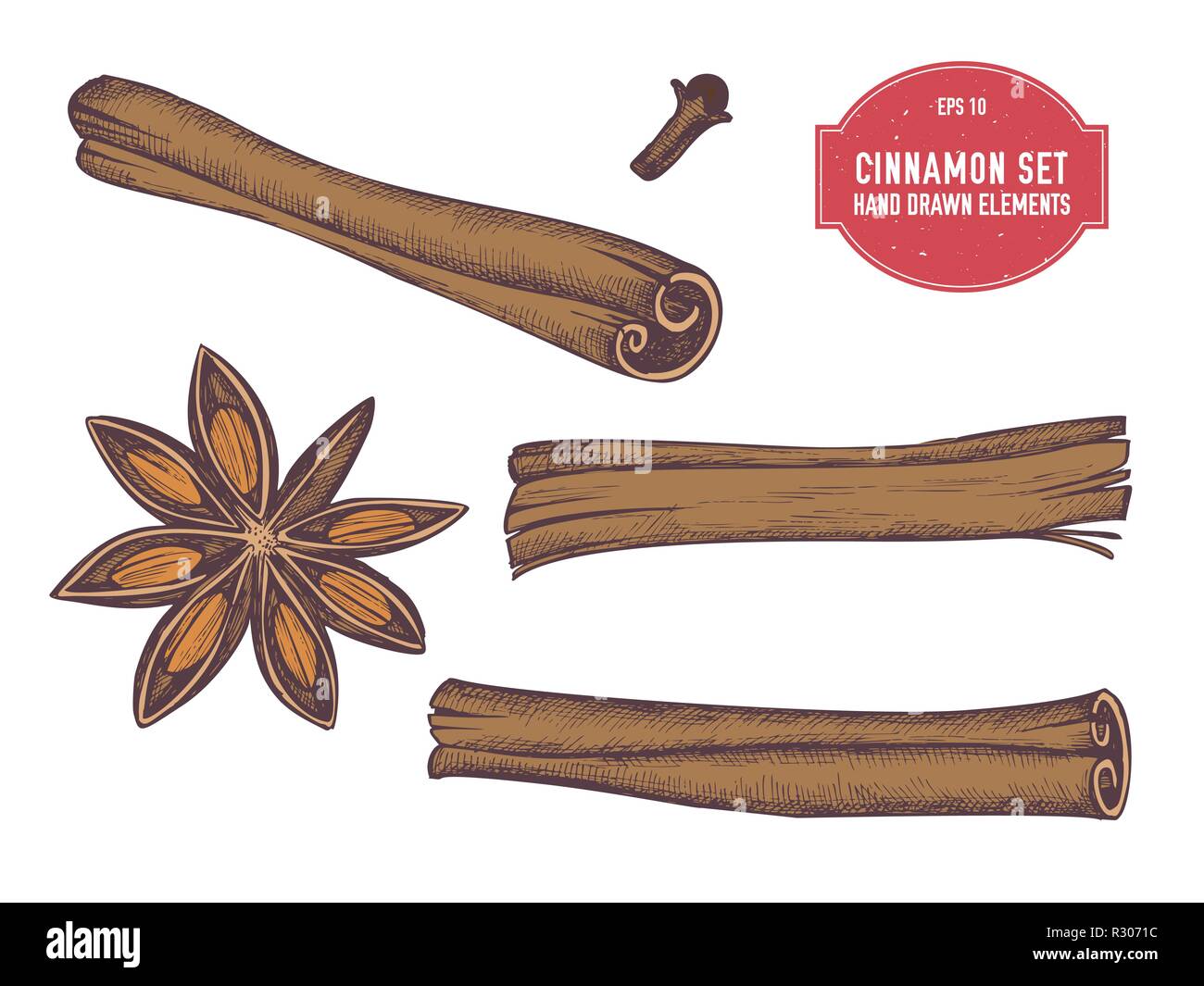 Vector collection of hand drawn colored cinnamon Stock Vector Image ...
