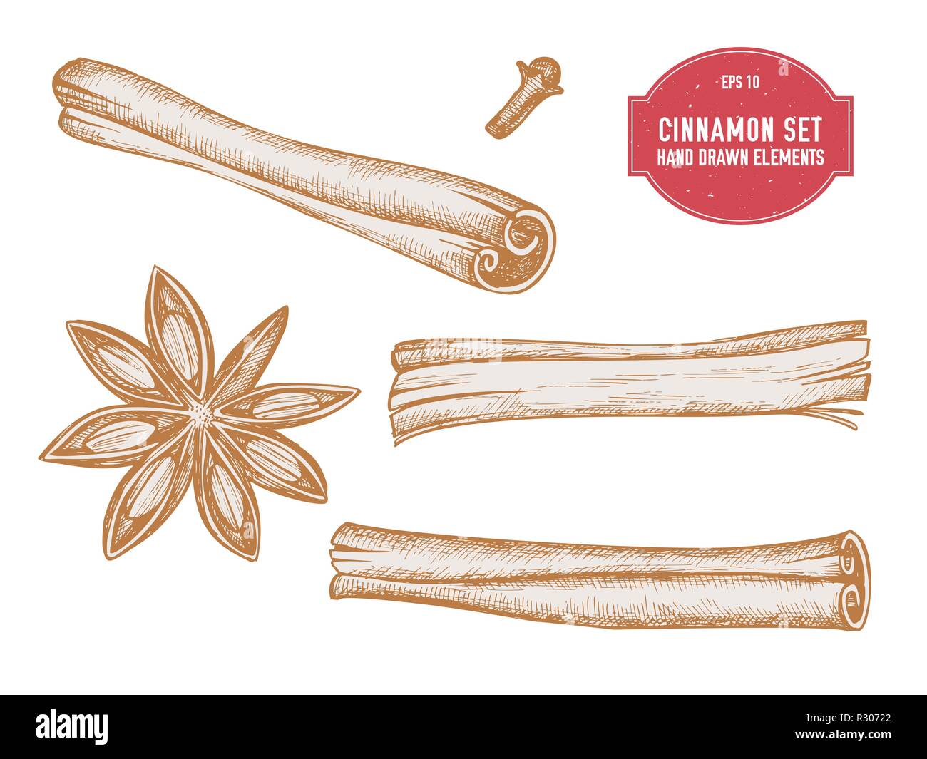 Vector collection of hand drawn pastel cinnamon Stock Vector Image ...