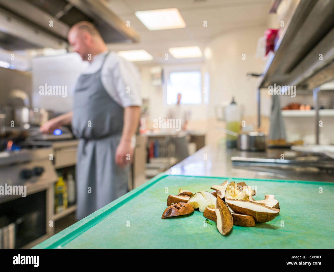 Chef in a kitchen preparing fresh grown organic wild mushrooms, Eastern Iceland Stock Photo