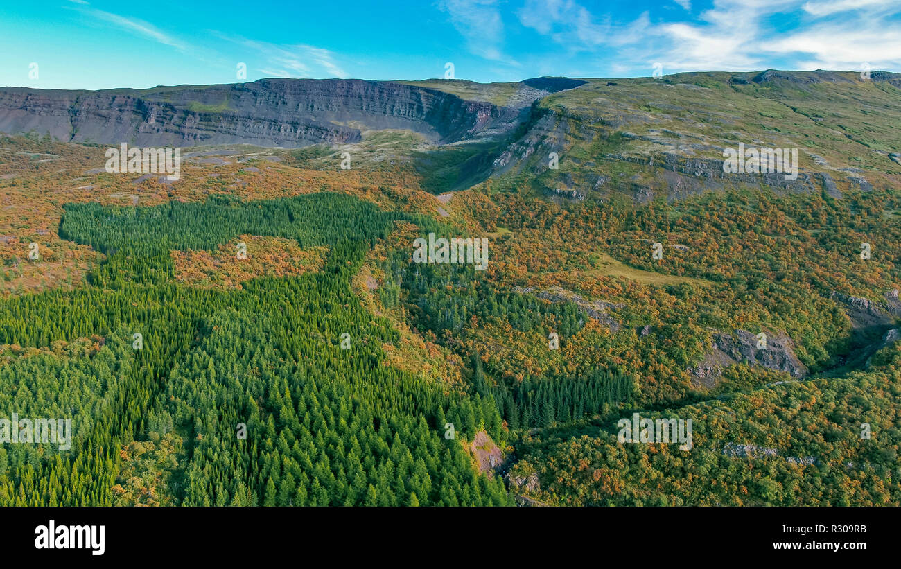 The Hallormsstadur Forest, Lagarfljot river, Eastern Iceland. This image is shot using a drone.  Stock Photo