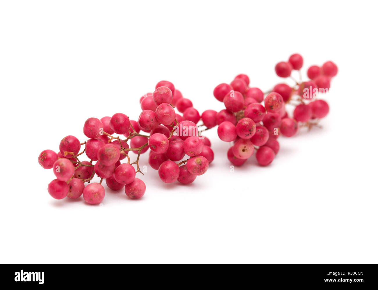 cluster of pink peppercorns, fruit of Peruvian pepper tree Schinus
