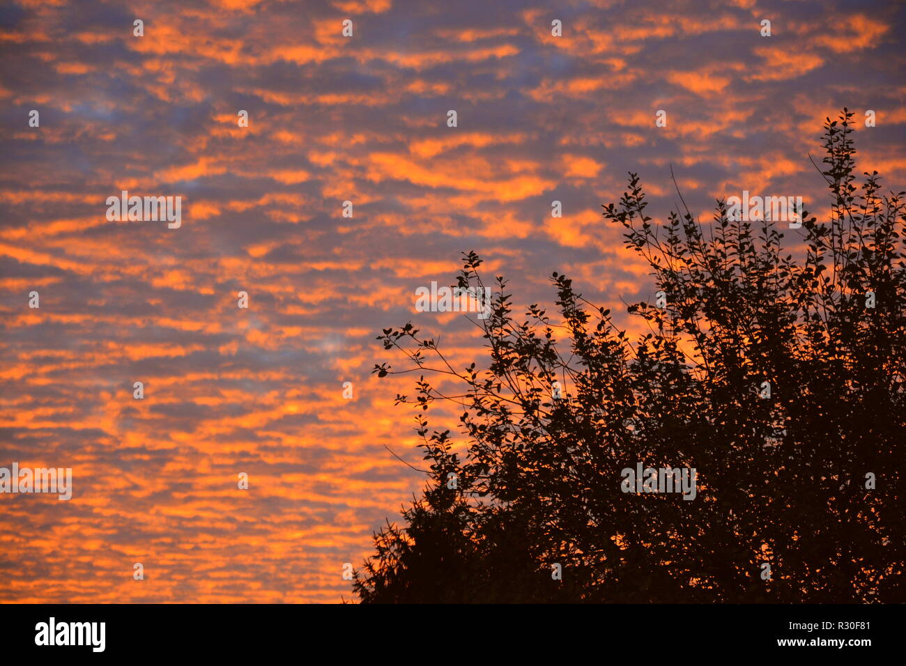 Sonnenaufgang Hintergrund Abendrot Stock Photo