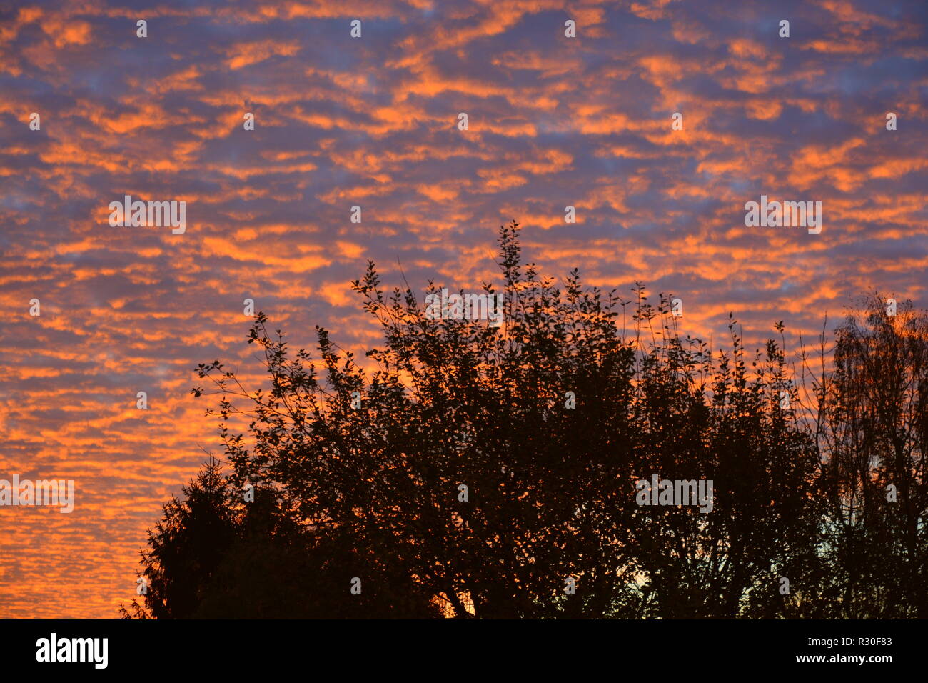 Sonnenaufgang Hintergrund Abendrot Stock Photo