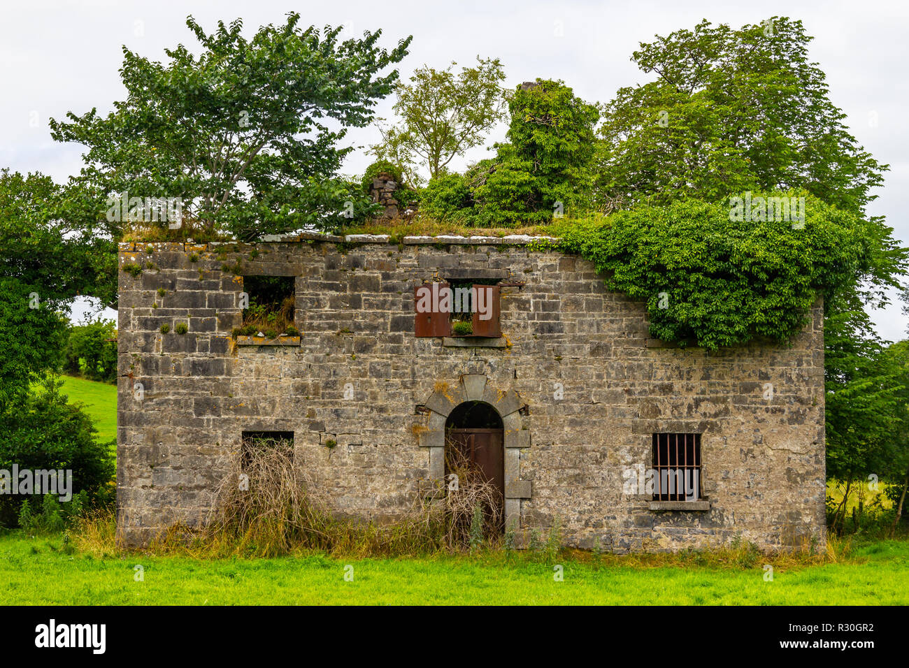 Ruins of an stone irish house taken by vegetation, Castlebar, Ireland