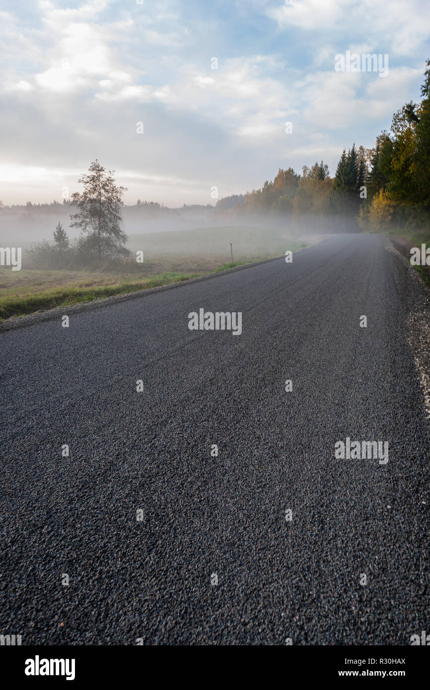 foggy country road in autumn with mist and asphalt. fall colors Stock ...