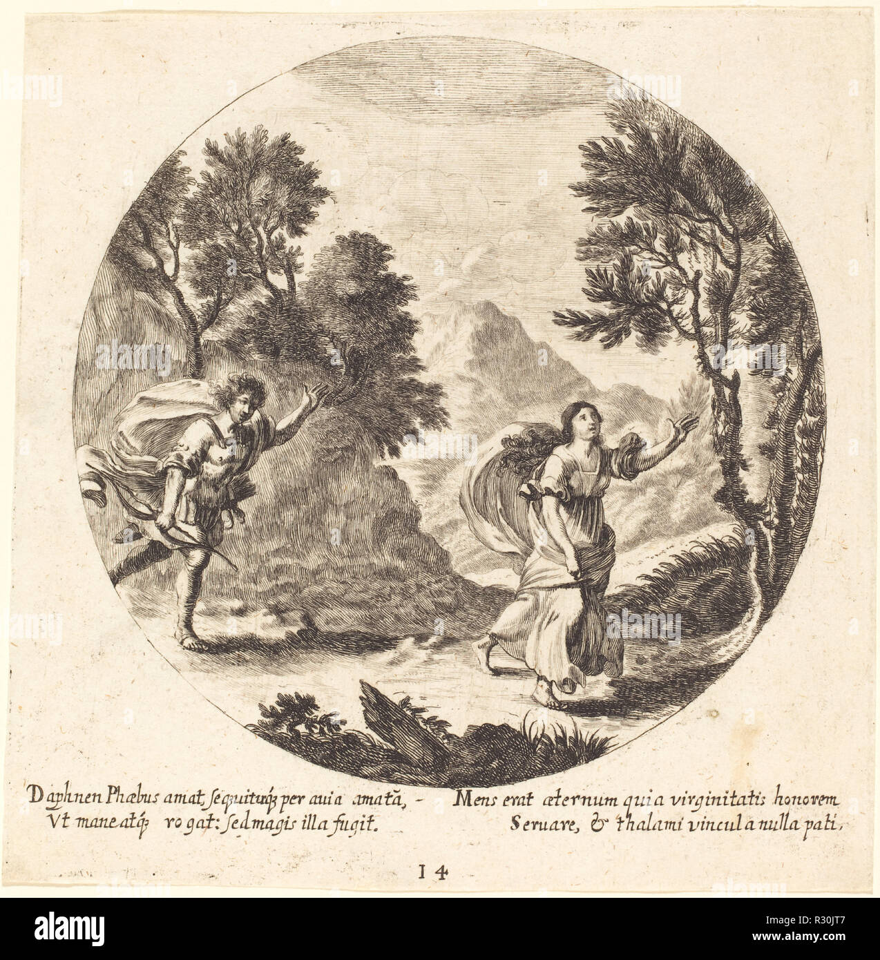 Apollo and daphne essay example image