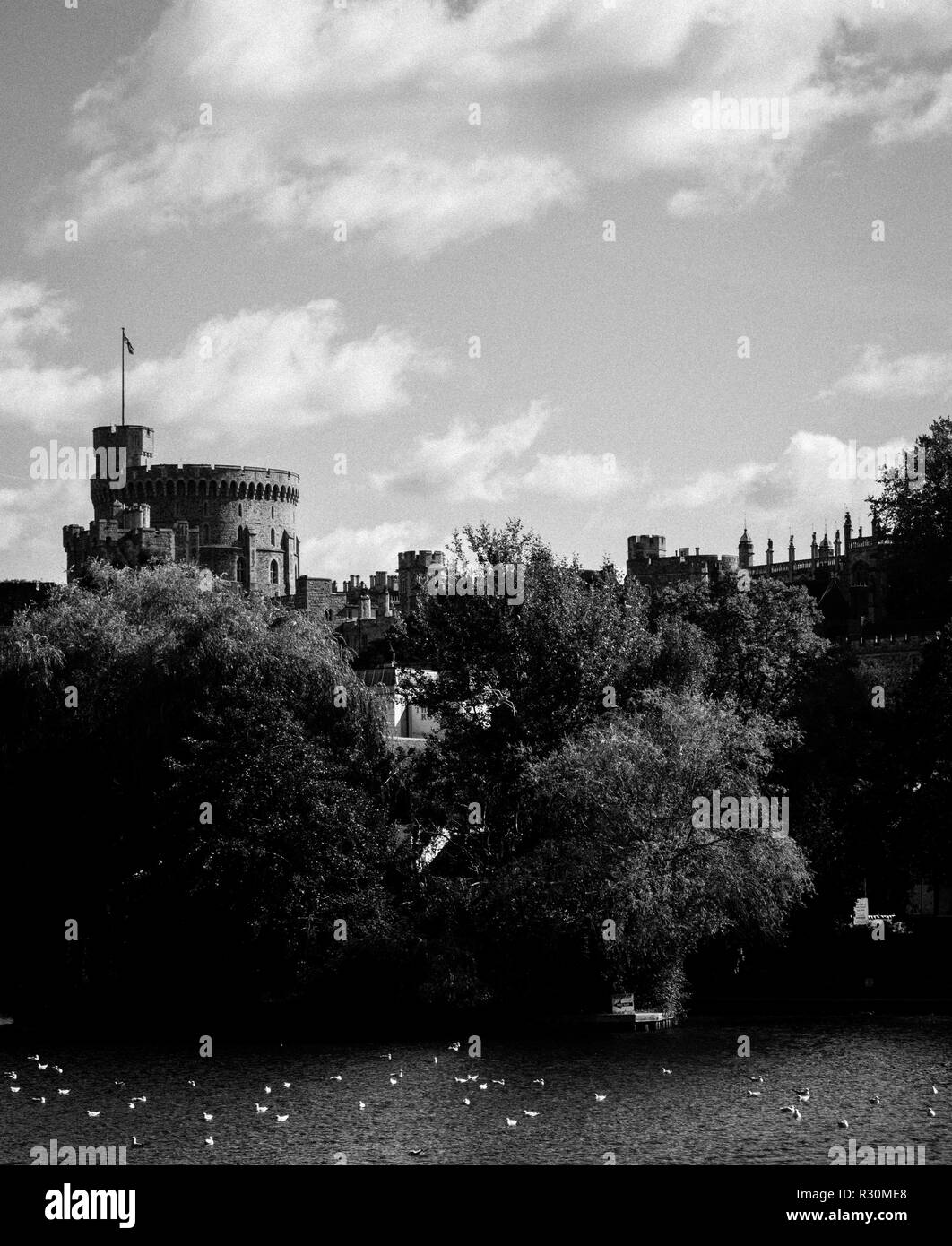 Dramatic, Black and White Photograph of Windsor Castle, on The River Thames, with Swans, Windsor, Berkshire, England, UK, GB. Stock Photo