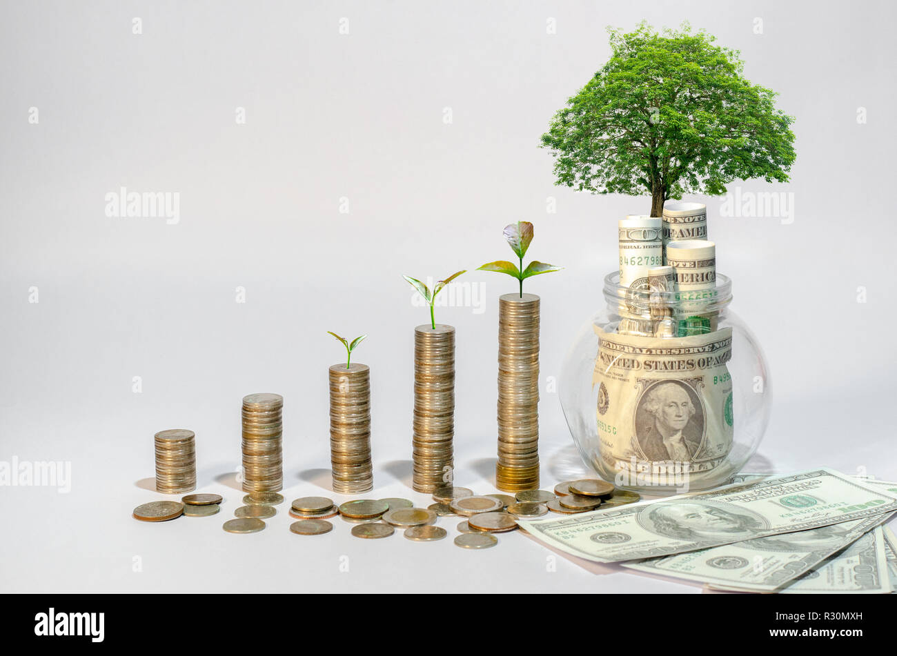 Money growth Saving money. Upper tree coins to shown concept of growing