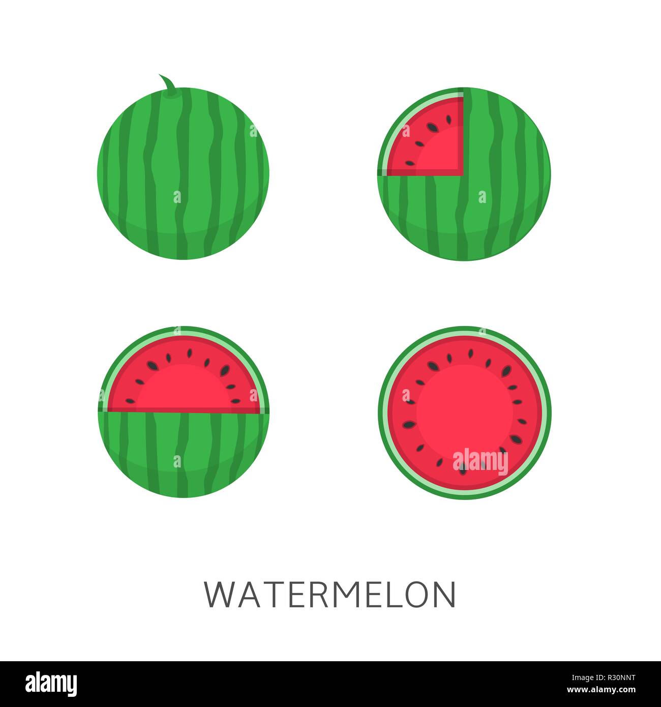 Watermelon icon set Vector illustration Vegan concept Stock Vector