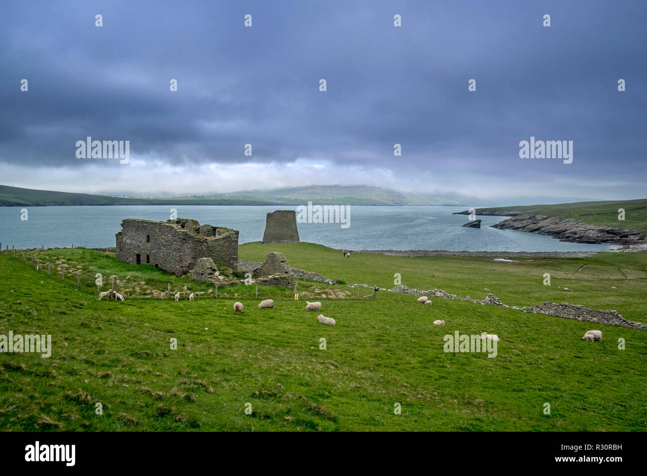 The Haa, laird's house and Mousa Broch, tallest Iron Age broch and one of Europe's best-preserved prehistoric buildings, Shetland Islands, Scotland Stock Photo