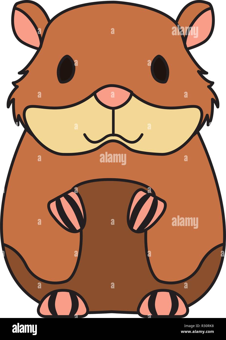 hamster rodent on white background vector illustration Stock Vector ...