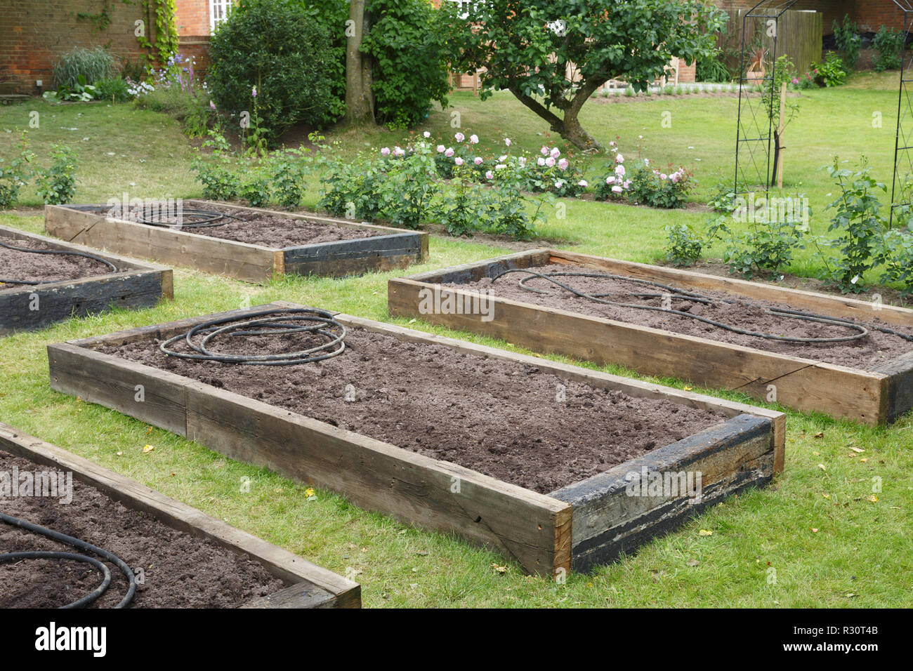 Newly built raised beds with irrigation hose before planting in a newly