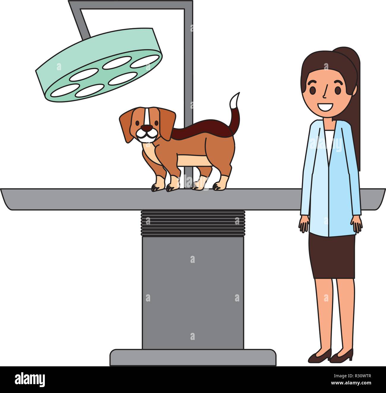 veterinary doctor female and dog clinic petcare vector illustration