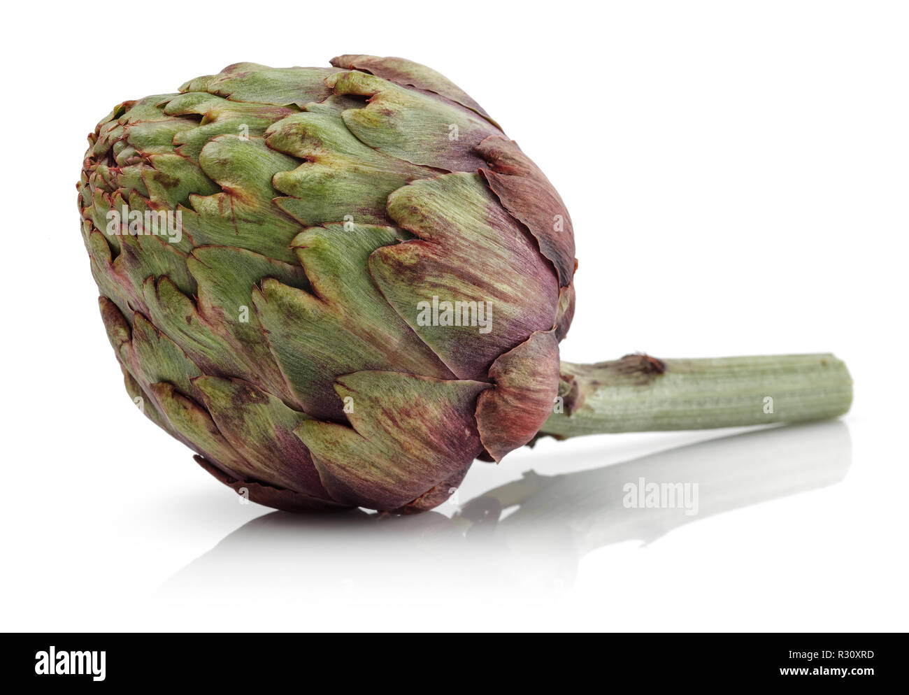 Fresh Artichoke isolated on white background Stock Photo
