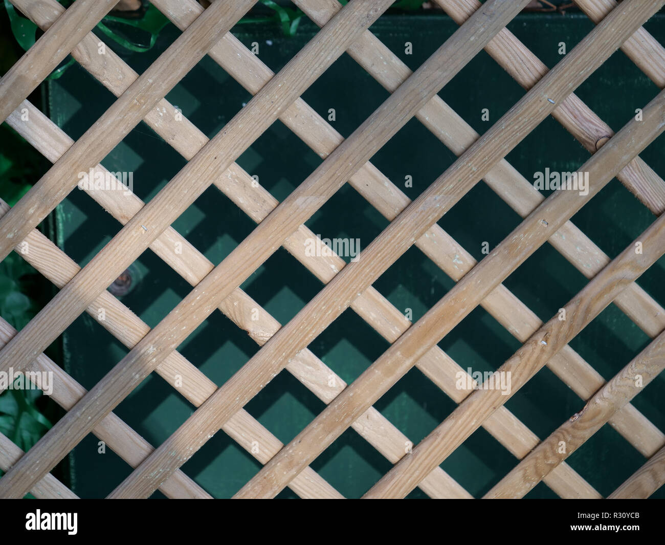 Using a garden trellis for screening, for supporting plants, for an attractive feature and focal point to enhance the outdoor space, London, UK. Stock Photo