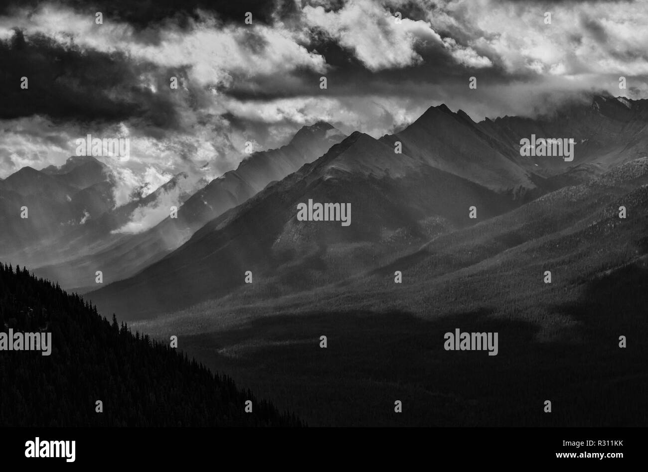 Canadian Rockies in black and white taken from the top of Sulphur Mountain in Banff Stock Photo