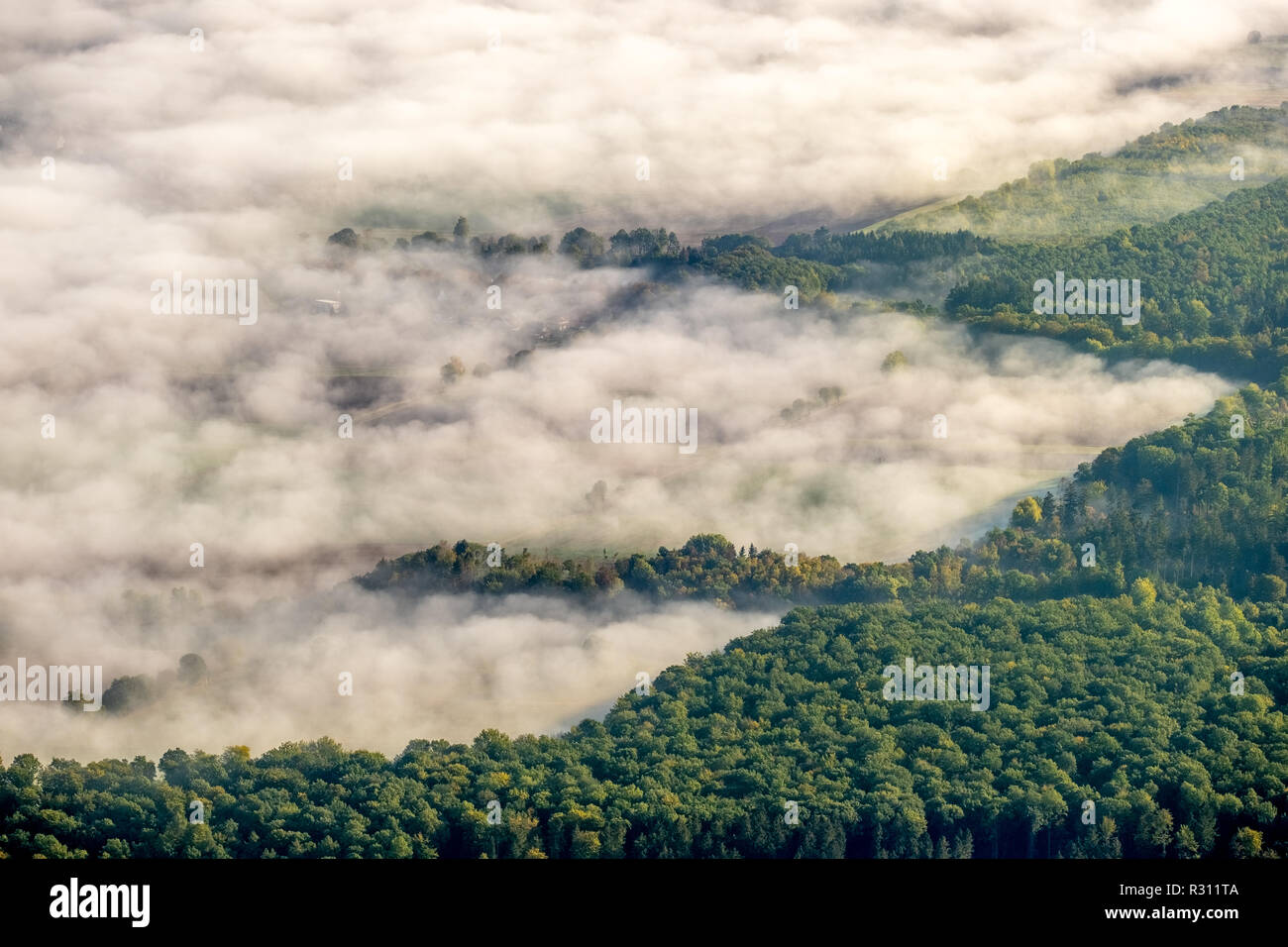 Aerial view, fog over whale area next to Dassel, Goslar district, Lower Saxony, Germany, Europe, Dassel, Goslar district, DEU, birds-eyes view, aerial Stock Photo