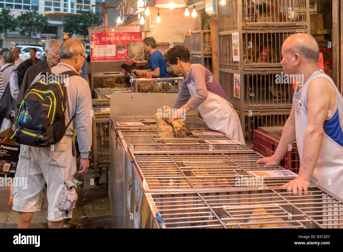 KOWLOON, HONG KONG - APRIL 22, 2017: Live Chicken Sellers at Poultry Shop at Local Market in Kowloon, Hong Kong. Stock Photo