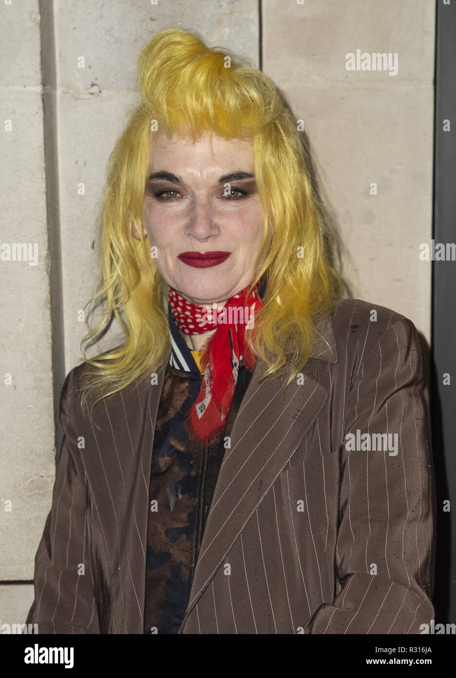 London, UK. 20th Nov, 2018. Pam Hogg attends the launch of new ...