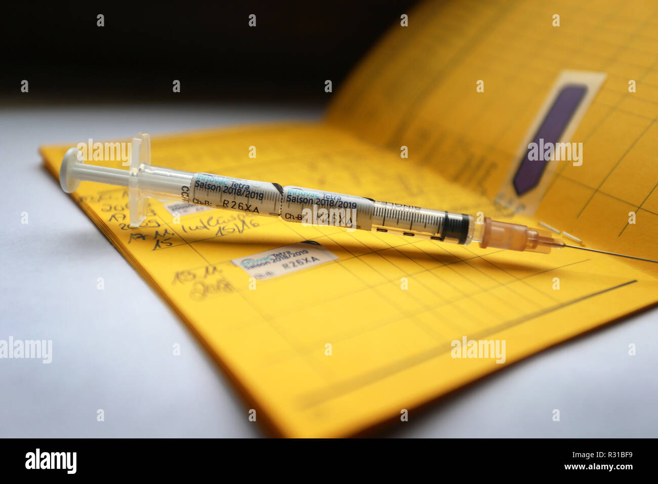 ILLUSTRATION - 21 November 2018, Bavaria, Würzburg: A syringe labeled with the name of the quadruple influenza vaccine Influvac Tetra lies on a vaccination pass. Flu vaccines are becoming scarce in many parts of Germany. Photo: Karl-Josef Hildenbrand/dpa Stock Photo