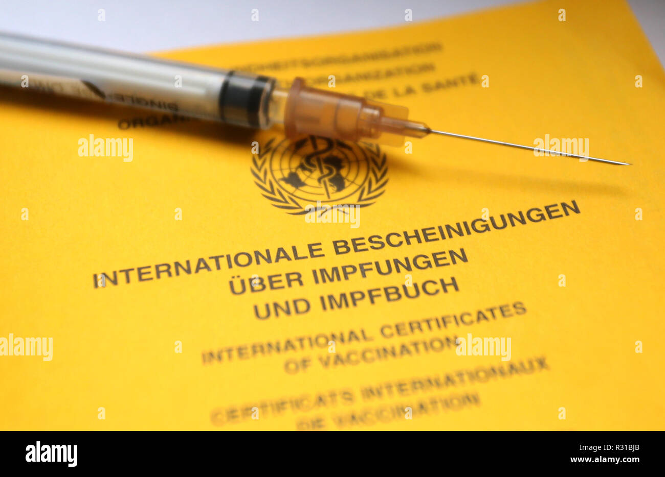 ILLUSTRATION - 21 November 2018, Bavaria, Würzburg: There's a syringe on a vaccination card. Flu vaccines are becoming scarce in many parts of Germany. Photo: Karl-Josef Hildenbrand/dpa Stock Photo