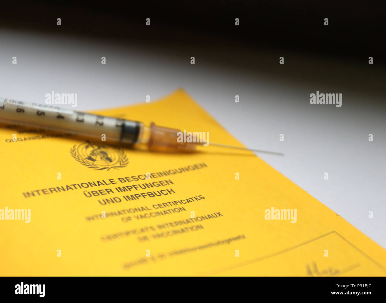 ILLUSTRATION - 21 November 2018, Bavaria, Würzburg: There's a syringe on a vaccination card. Flu vaccines are becoming scarce in many parts of Germany. Photo: Karl-Josef Hildenbrand/dpa Stock Photo
