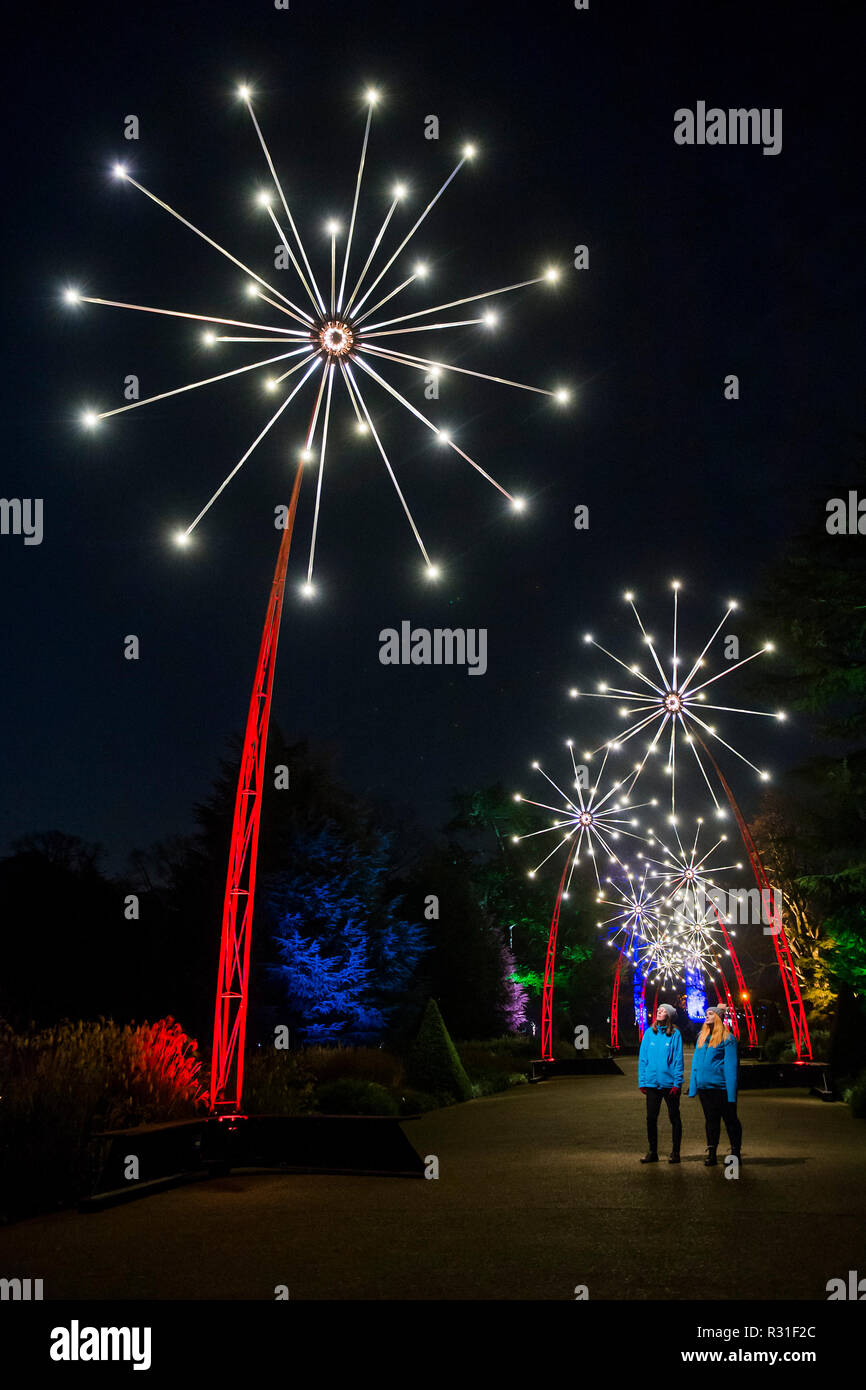 Kew Gardens, London, UK. 21st Nov 2018. An enchanted promenade of