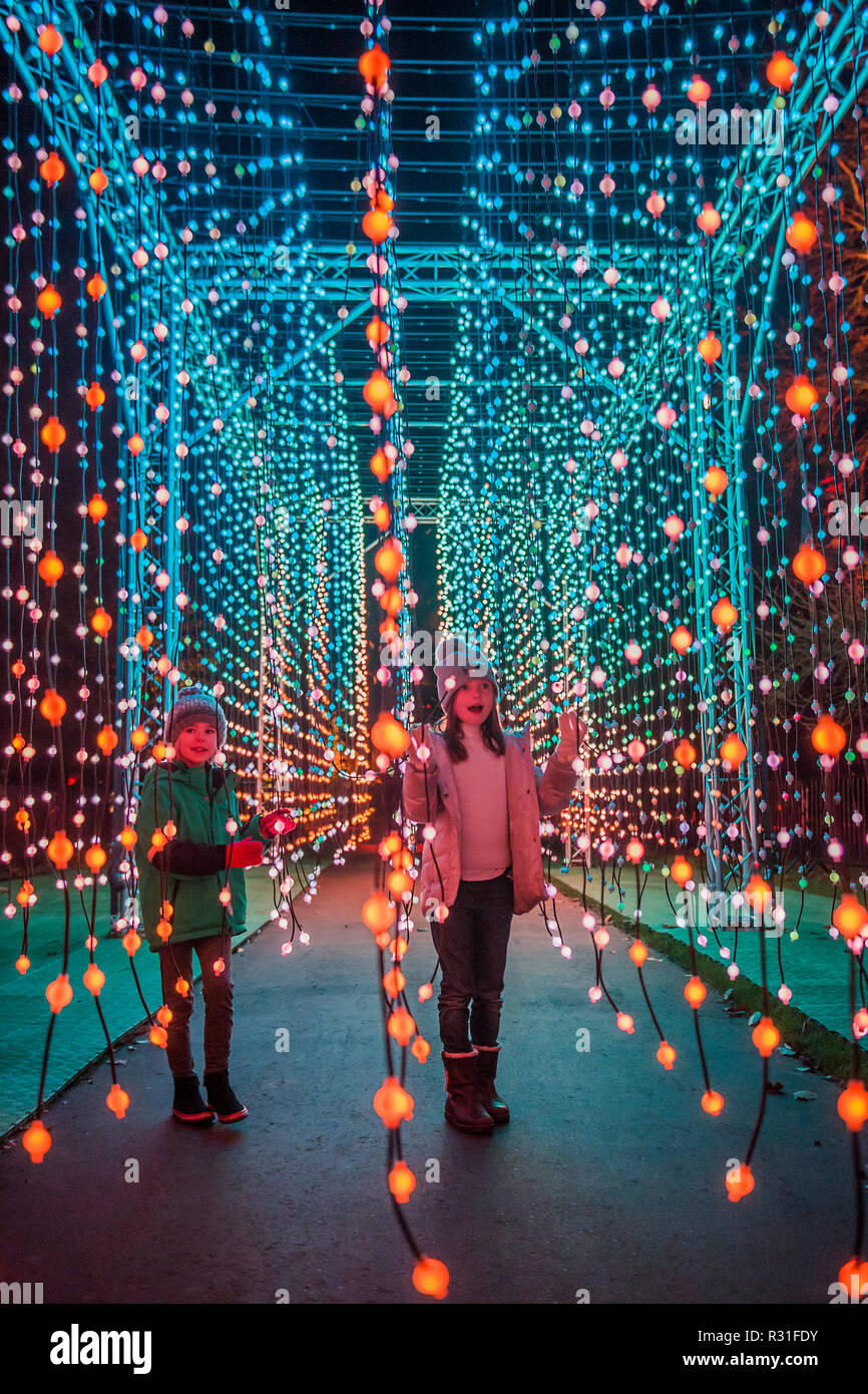 Kew Gardens, London, UK. 21st Nov 2018.A walkway of hundreds of