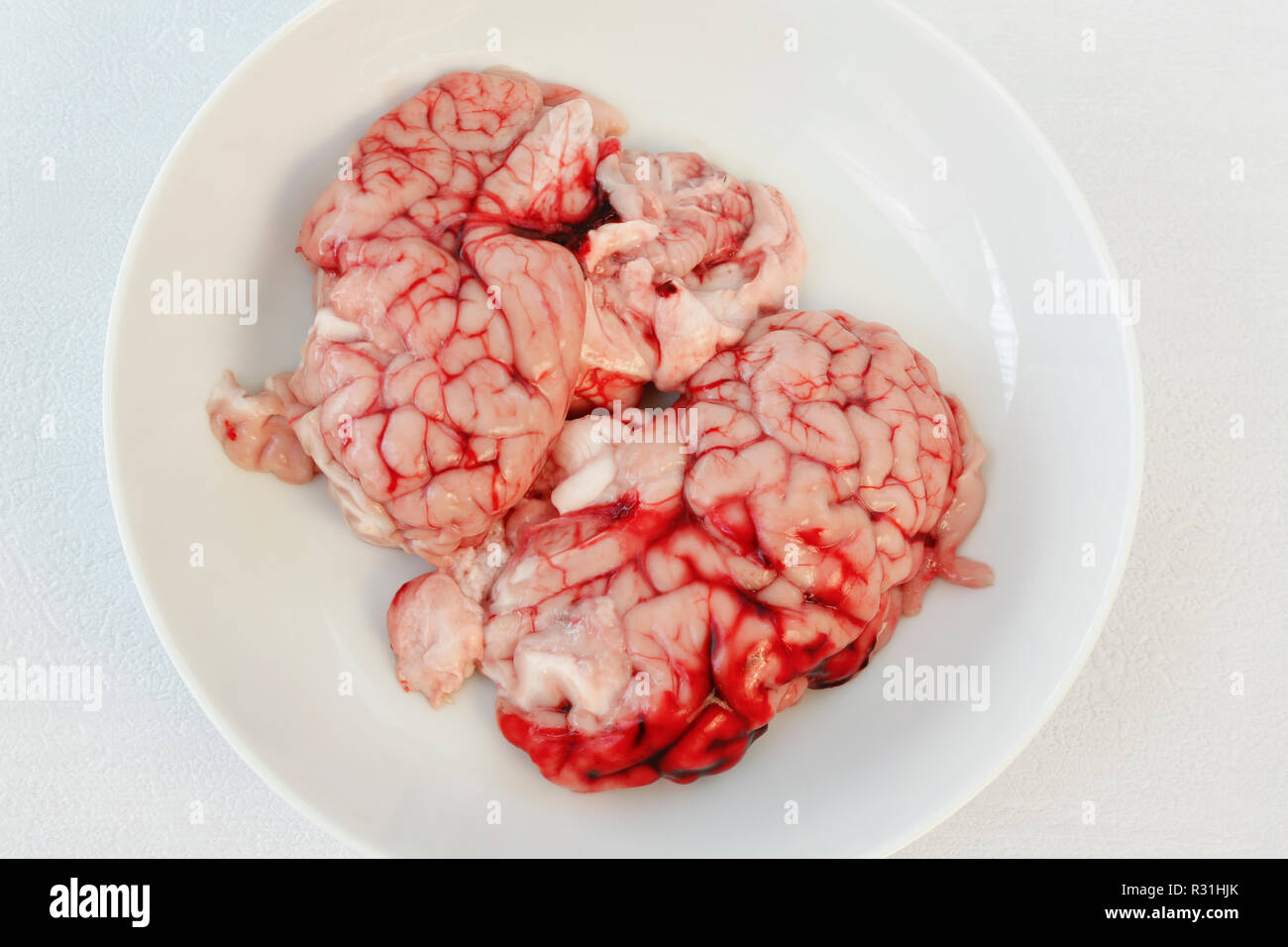 Calf's brain, offal, raw, Germany Stock Photo