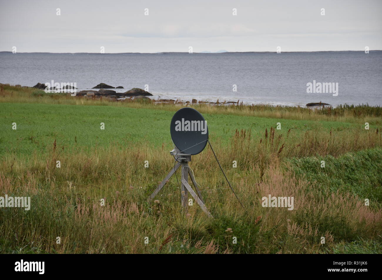 Norwegen, Nordland, Kystveien, Küstenstraße, Antenne, Satellitenantenne,  Schüssel, Elevation, DVB-S, DVB-S2, SD, HD, TV, Wiese, Feld, Bodø, Küste,  LNB Stock Photo - Alamy