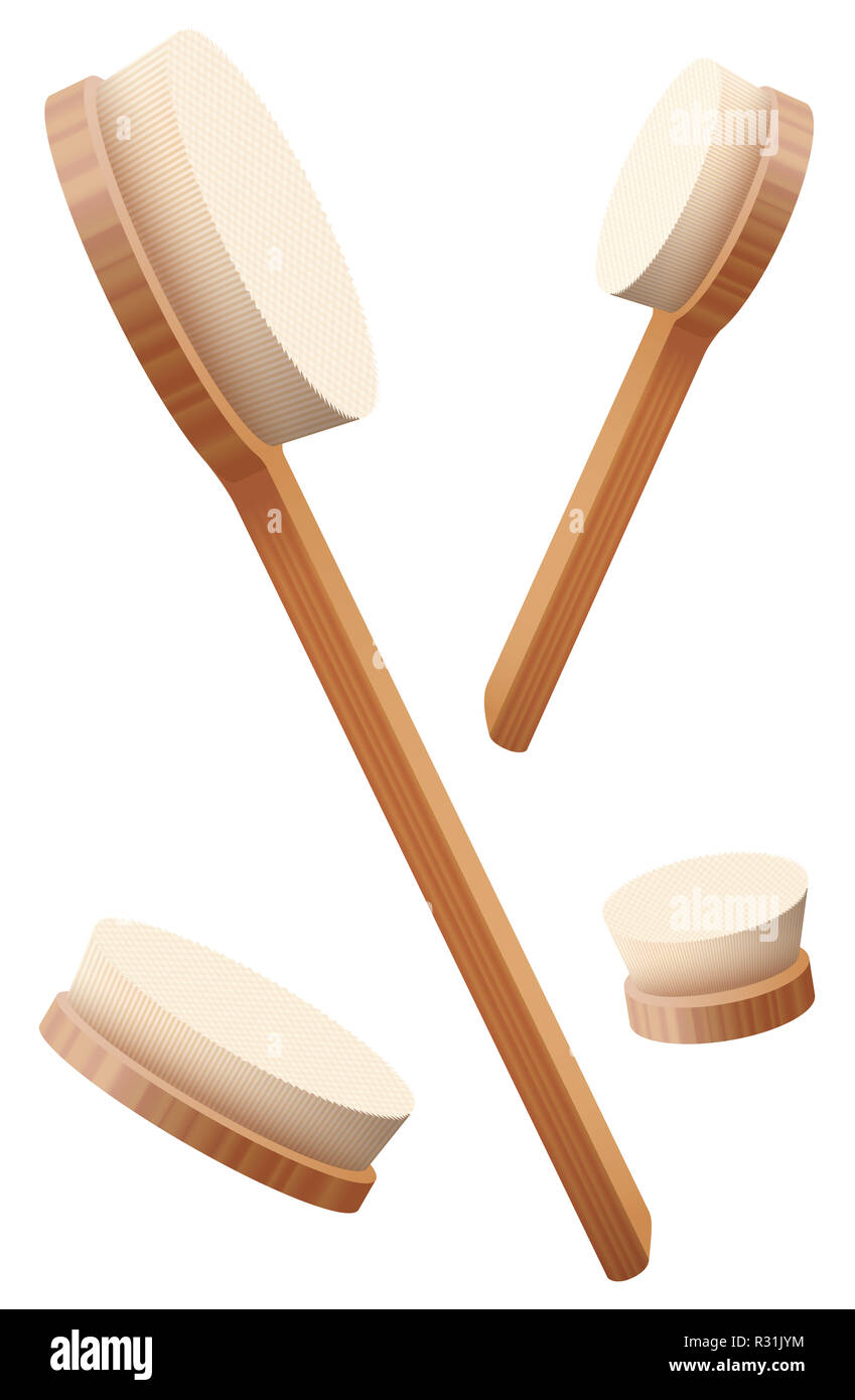 Body brushes, loosely arranged. Set of four different health and beauty treatment accessories for skincare, massage, exfoliation. Stock Photo