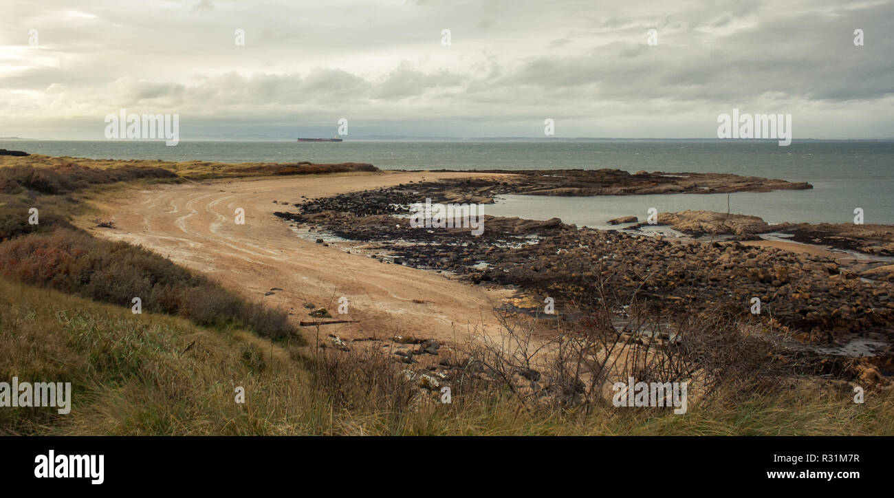 Seascape of Gullane Beach, in East Lothian, Scotland, with grass and vegetation in the foreground and big cargo ship in the background Stock Photo