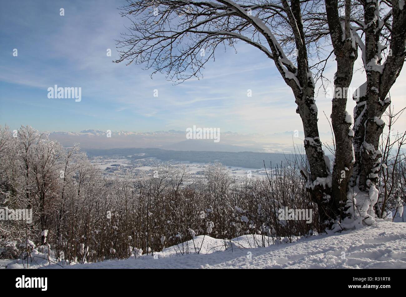 view from the camps towards zurich and swiss alps Stock Photo