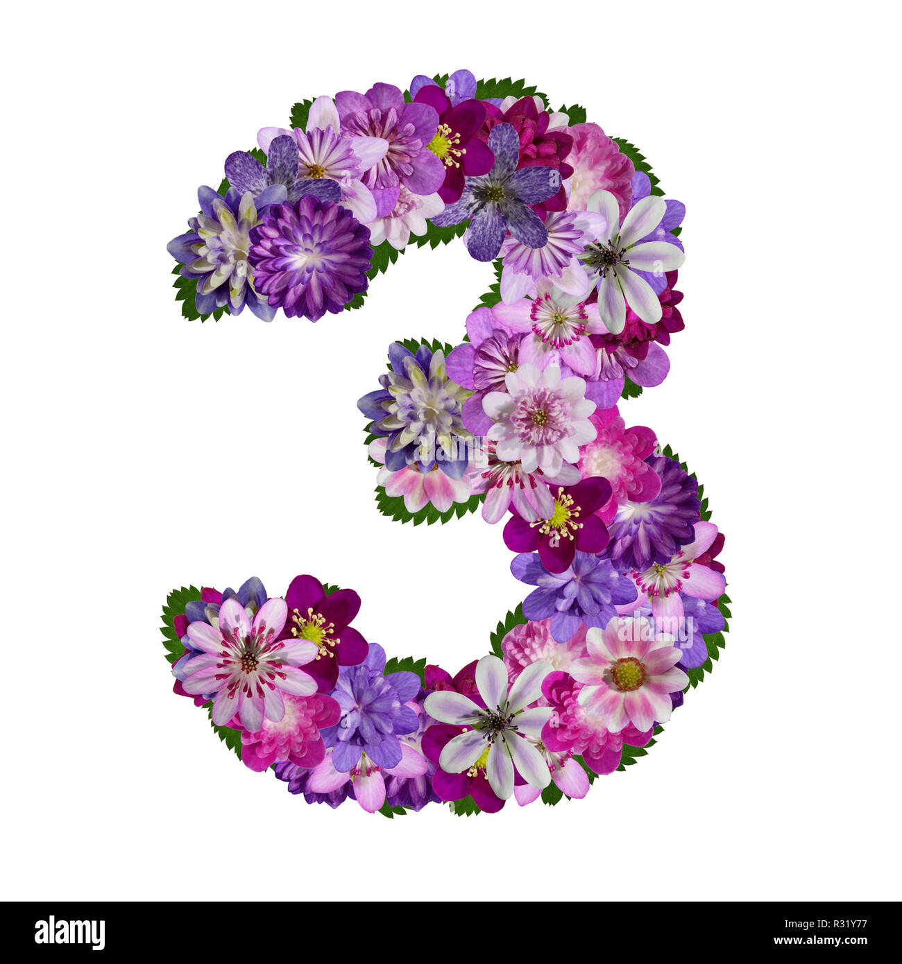 flowers alphabet number 3 Stock Photo Alamy