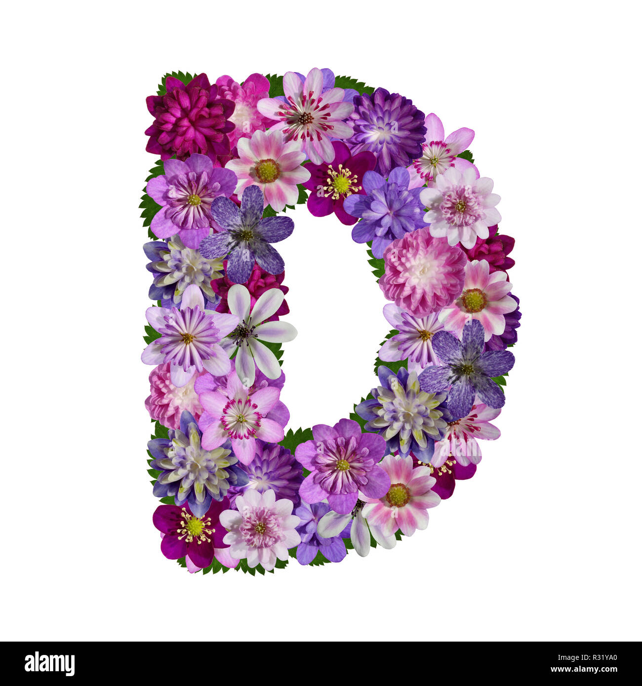 flowers alphabet letter d Stock Photo
