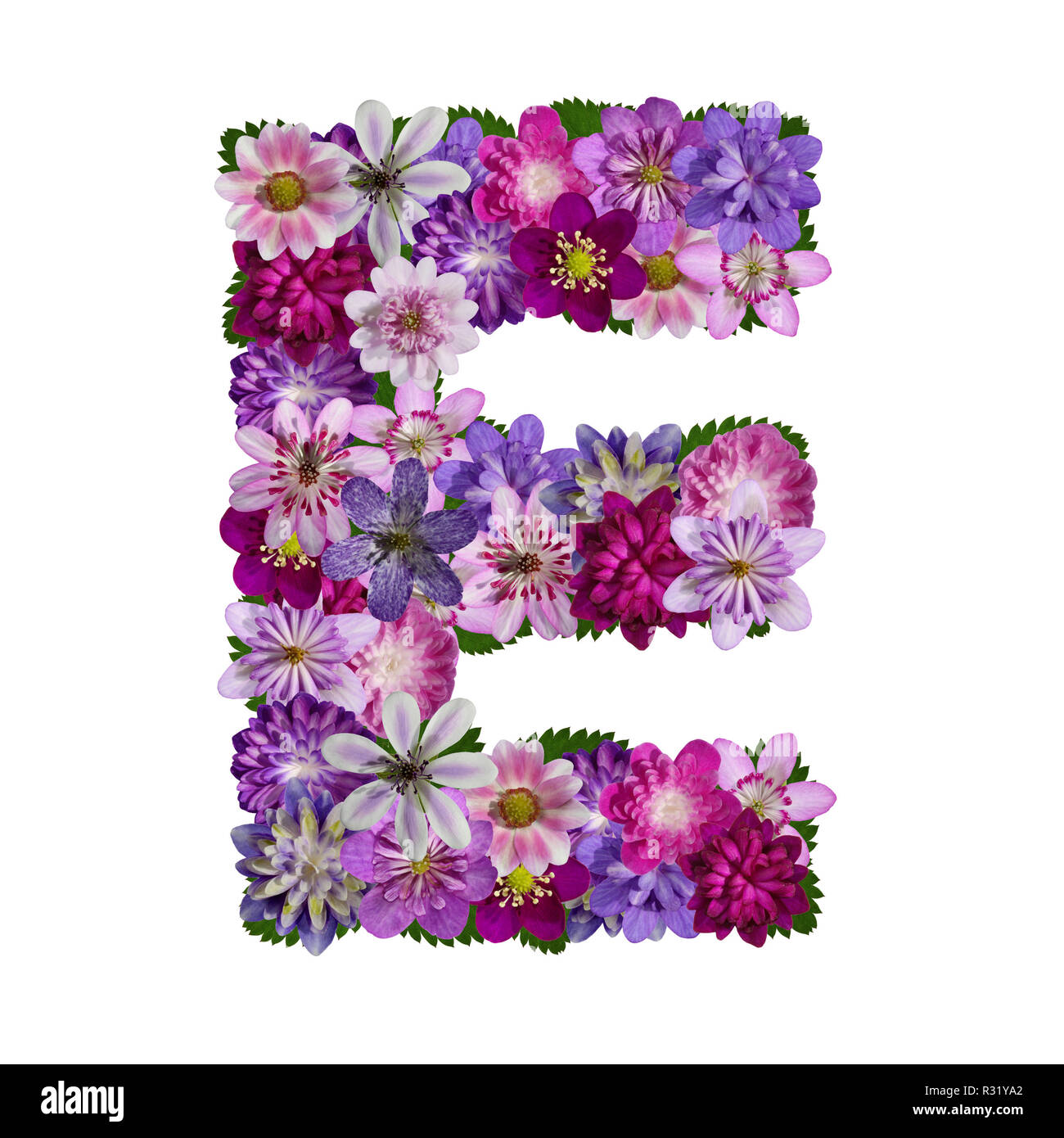 My Image 6