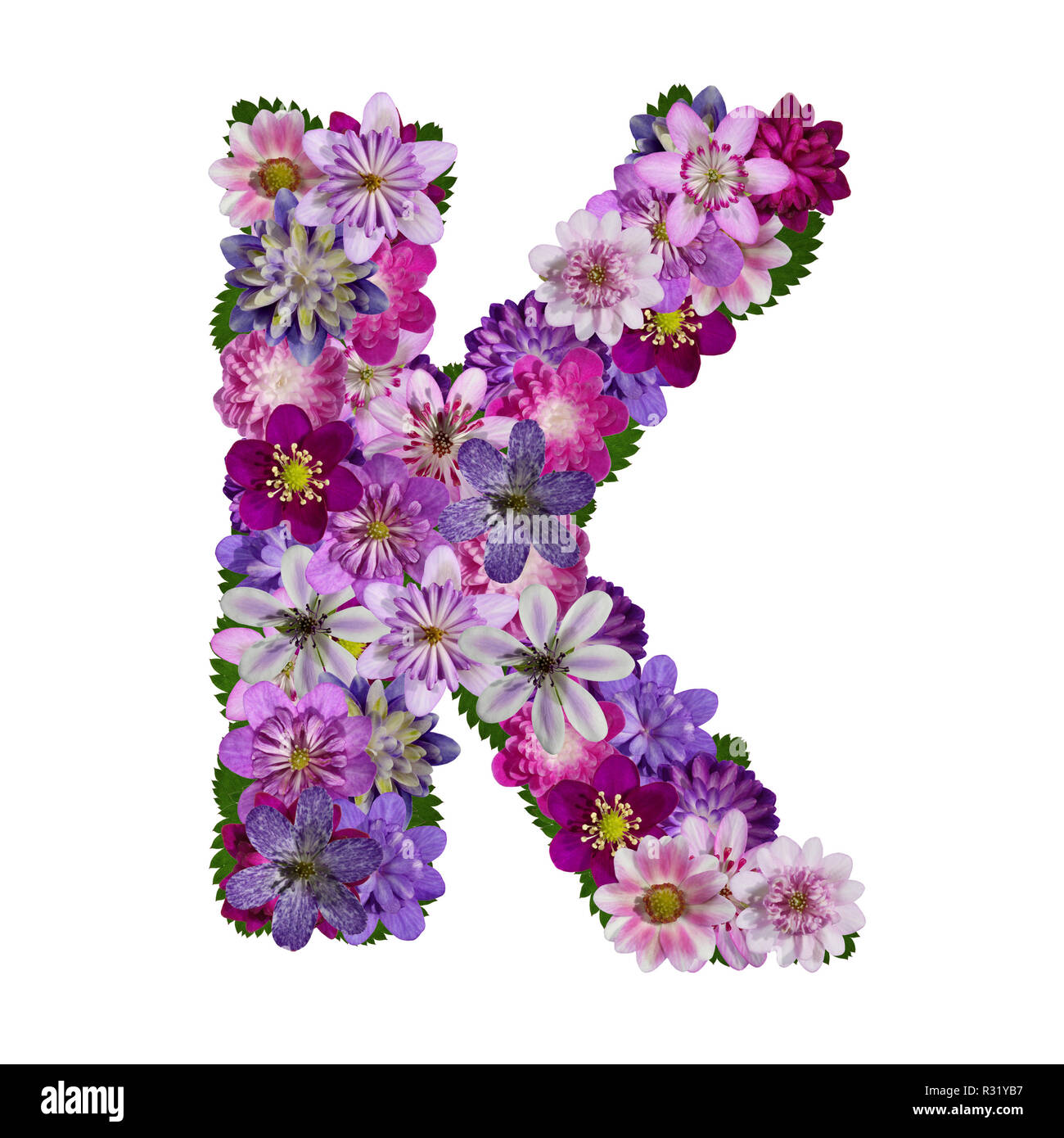 flowers alphabet letter k Stock Photo