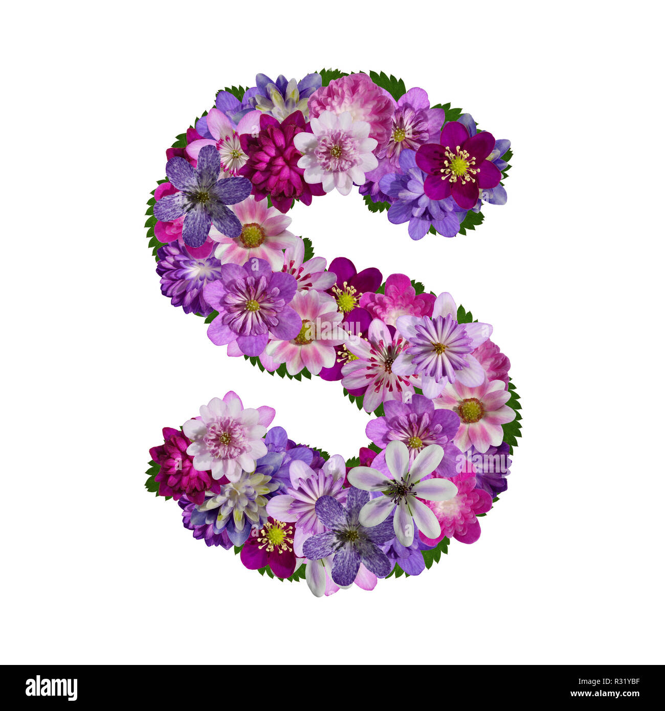 flowers alphabet letter s Stock Photo