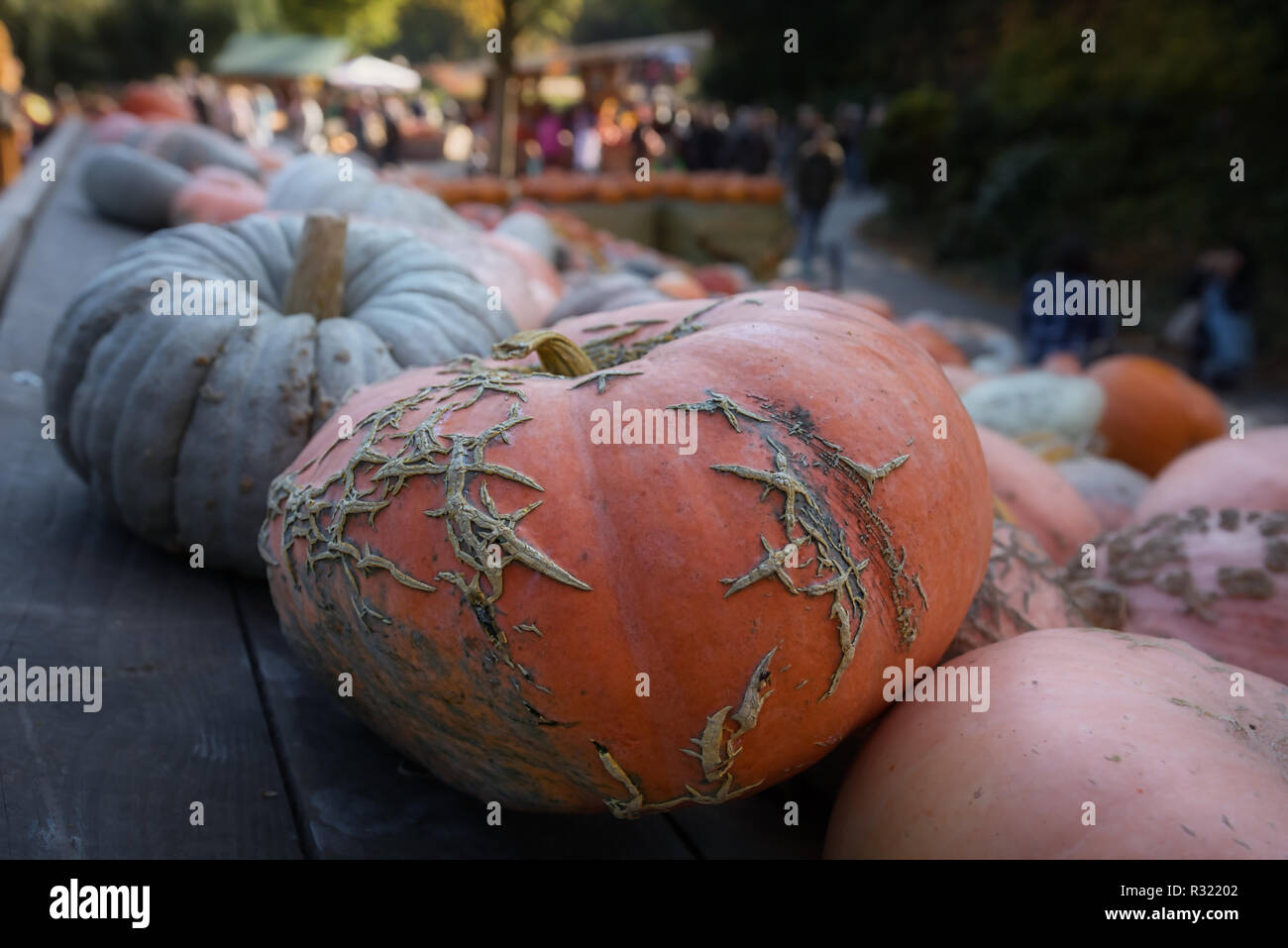 Kürbisausstellung ludwigsburg hi-res stock photography and images - Alamy Kürbisausstellung ludwigsburg hi-res stock photography and images - Alamy