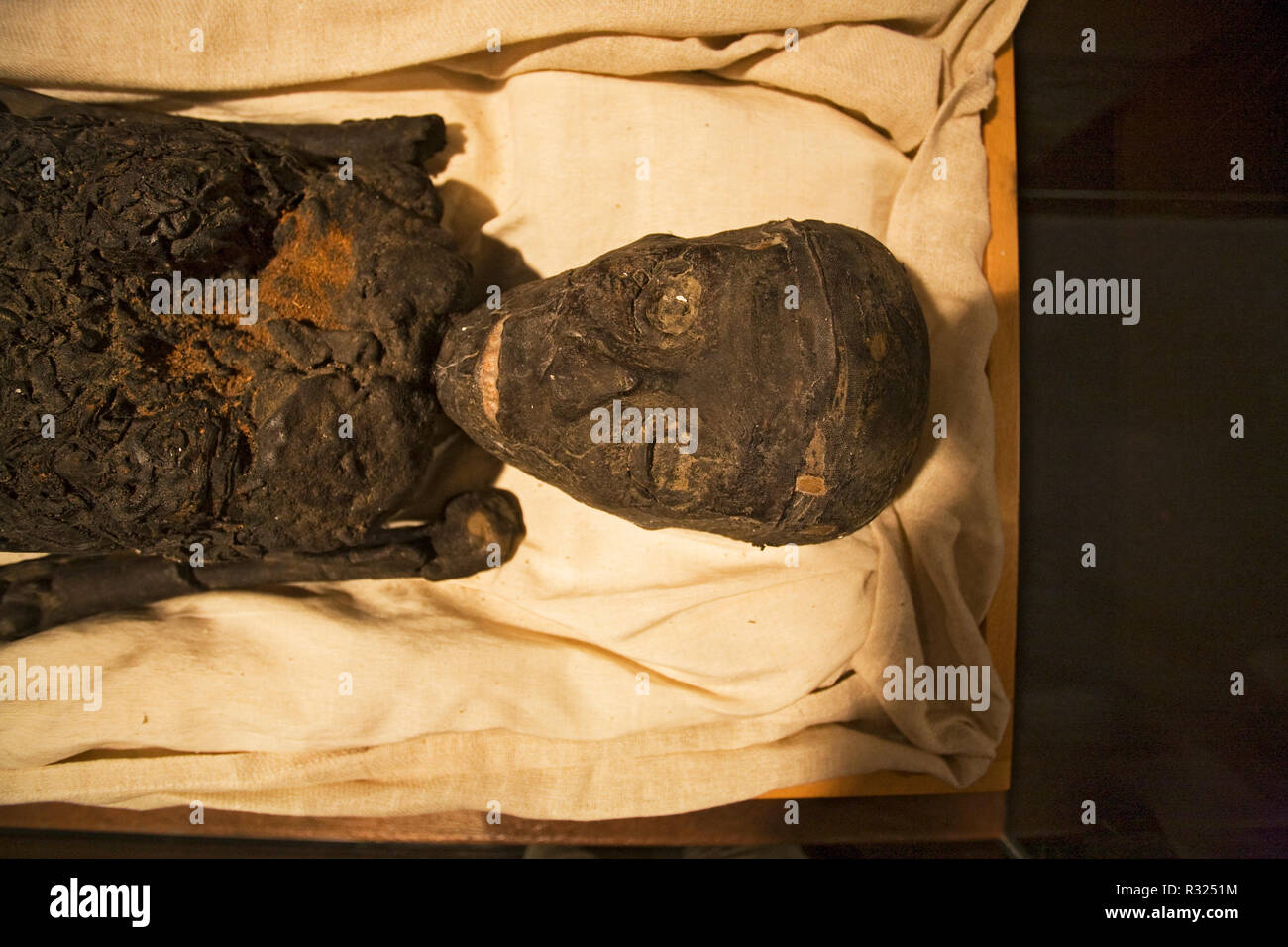 King Tut's mummy, or King tutankhamun's mummy, found in his tomb in the Valley of the Kings, Egypt. Stock Photo