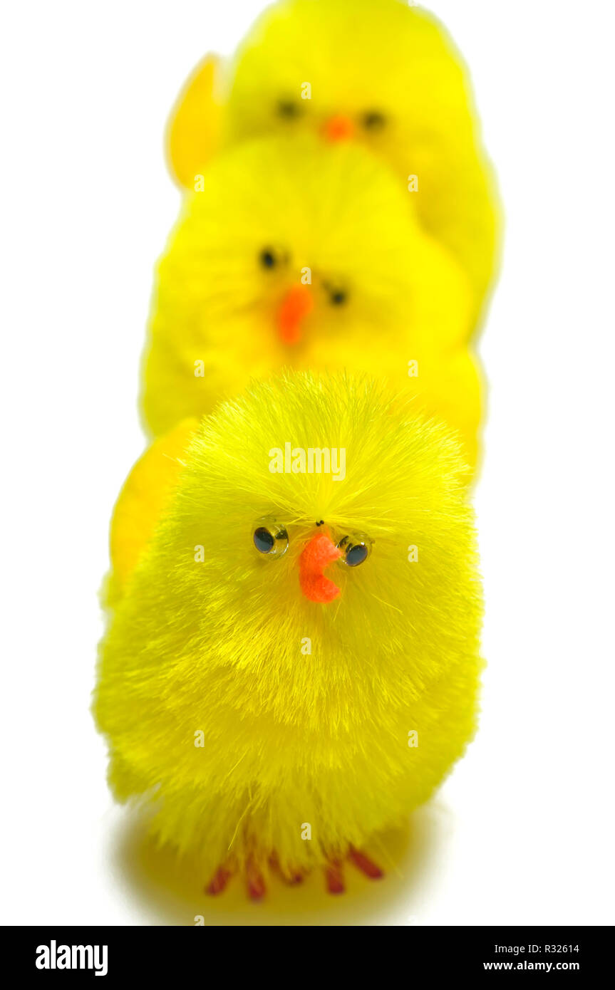 easter chicks Stock Photo