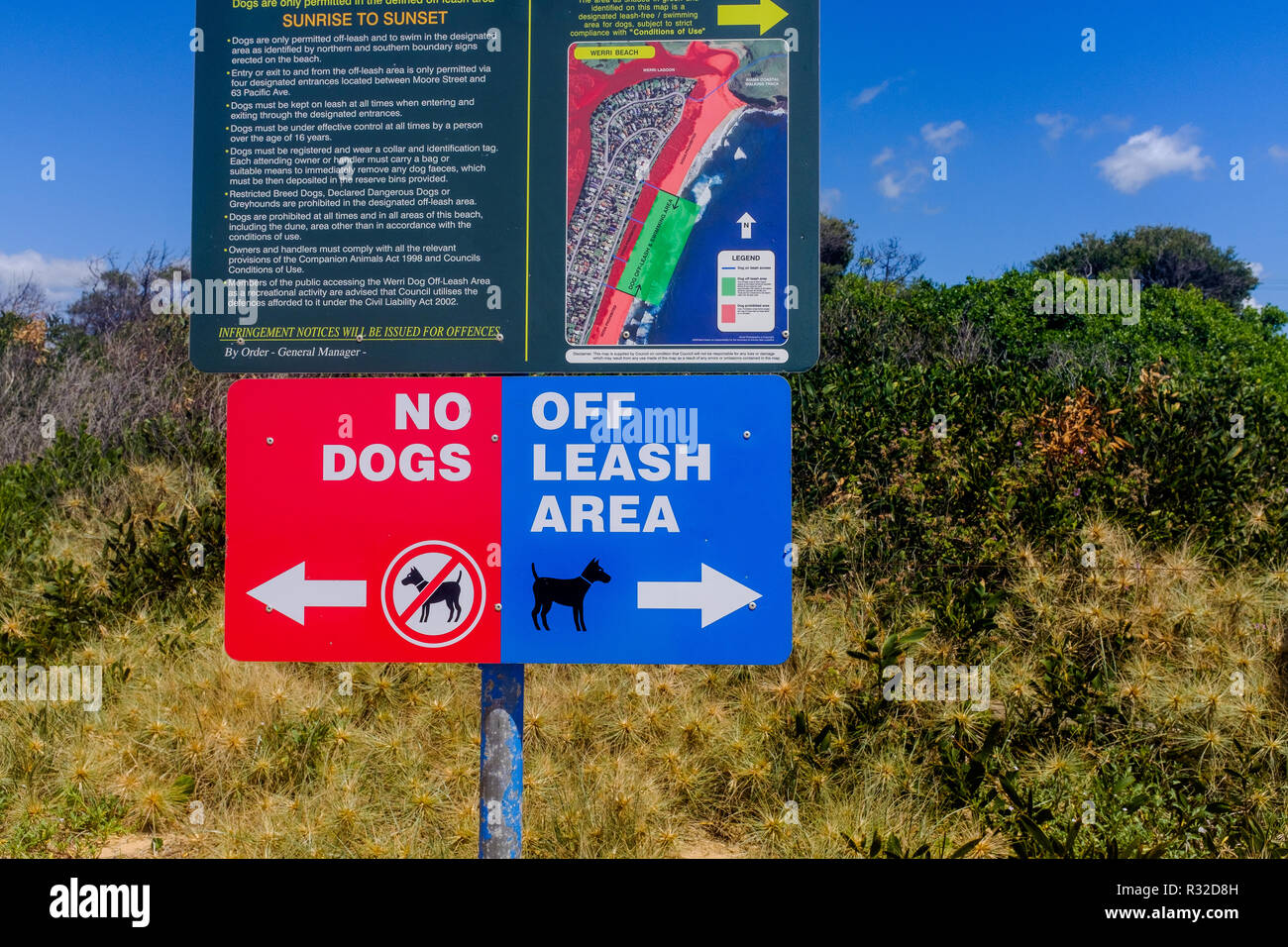 Australian dog dogs australia hires stock photography and images Alamy